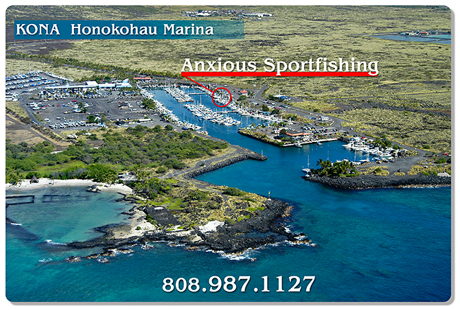 Honokohau Harbor highlighting Anxiuos Fishing.